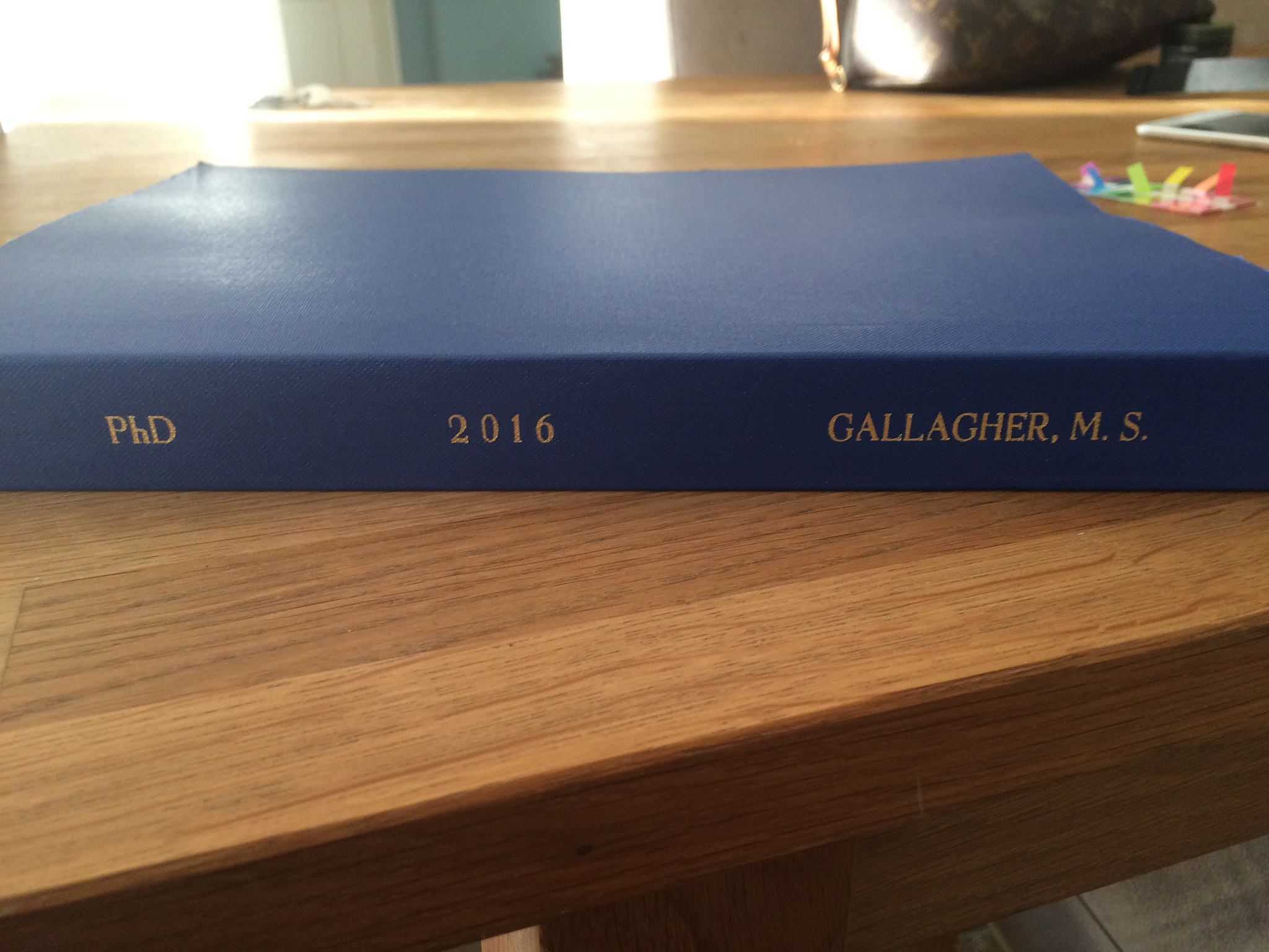 Gallagher Thesis